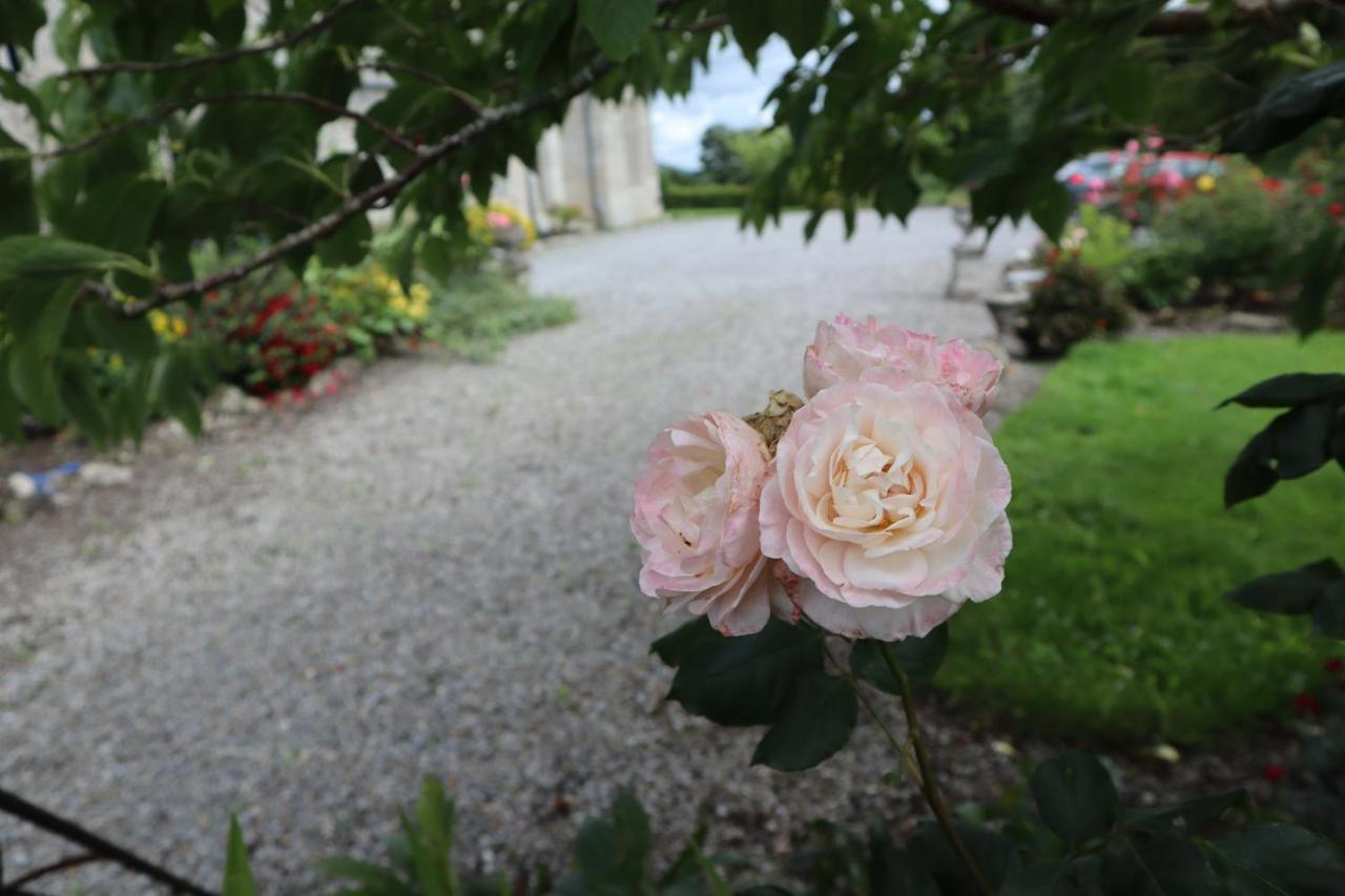 Lorum Old Rectory Bagenalstown Eksteriør bilde